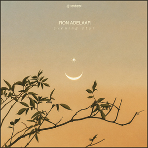 黄片看美女洗澡视频
